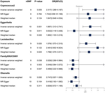 Causal association between gut microbiota and fibromyalgia: a Mendelian randomization study